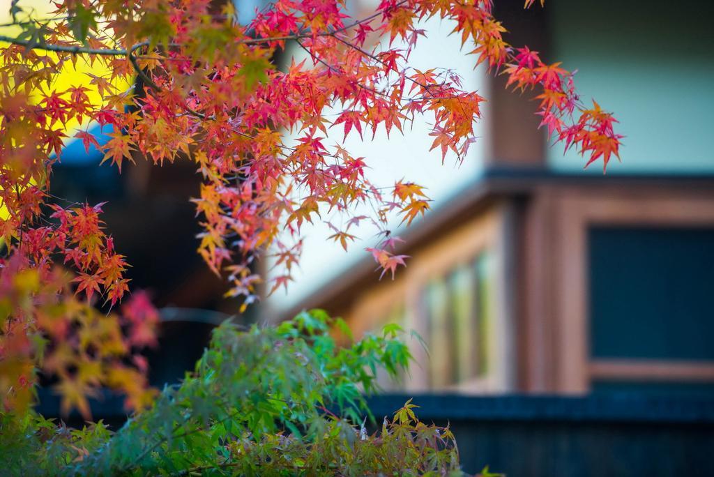 Miyama Sansou Hotel Minamioguni Buitenkant foto